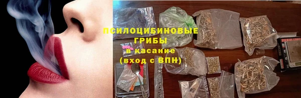 стафф Зерноград