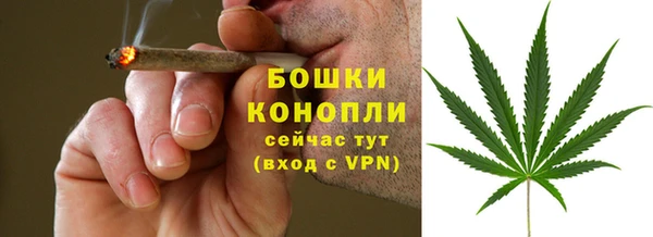 стафф Зерноград