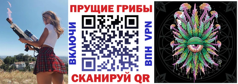 Галлюциногенные грибы GOLDEN TEACHER  Купить  Буй 