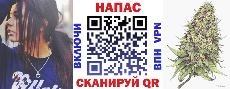 Купить  Буй  Каннабис план 